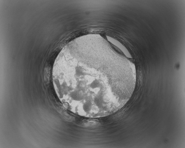 X0000114540475200911301206