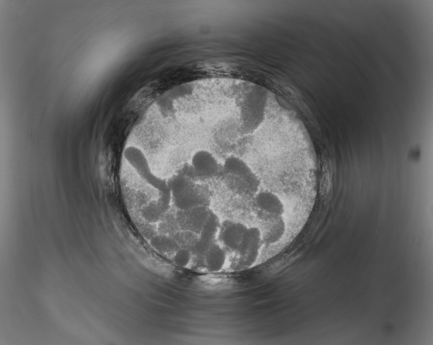 X0000114540477200911301206