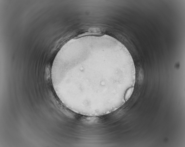 X0000114540478200911301206