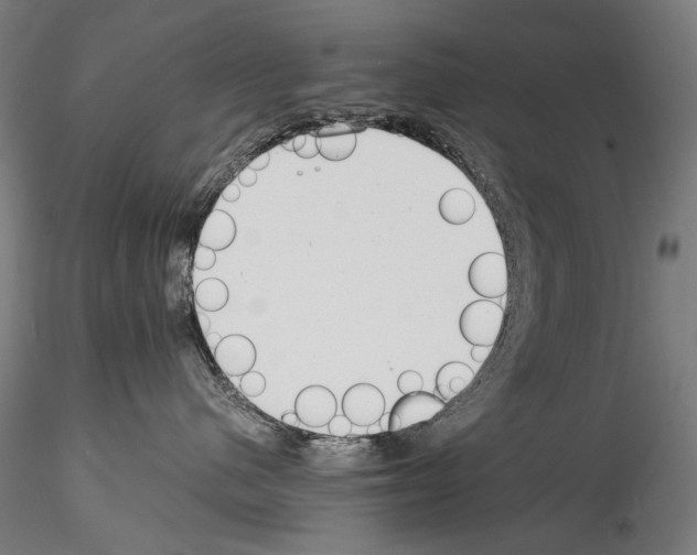 X0000114540480200911301206