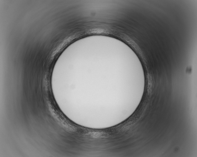 X0000114540482200911301205