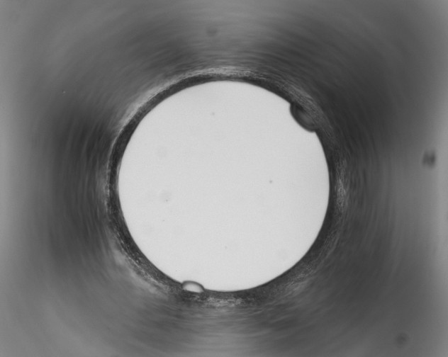 X0000114540484200911301205