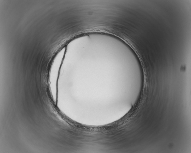 X0000114540485200911301205