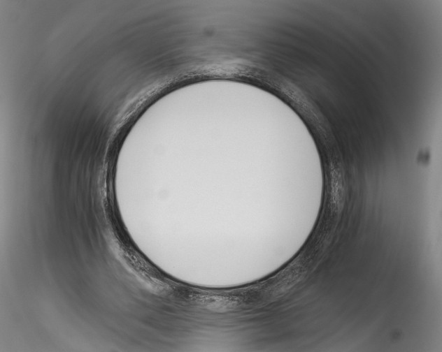 X0000114540486200911301205