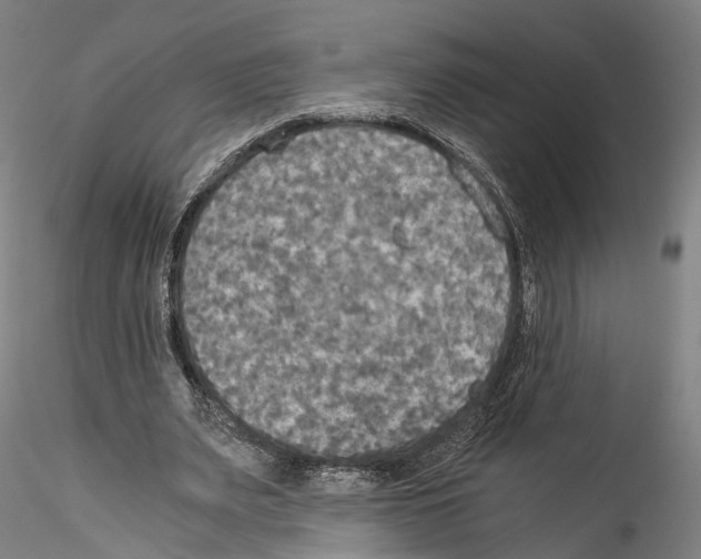 X0000114540487200911301205