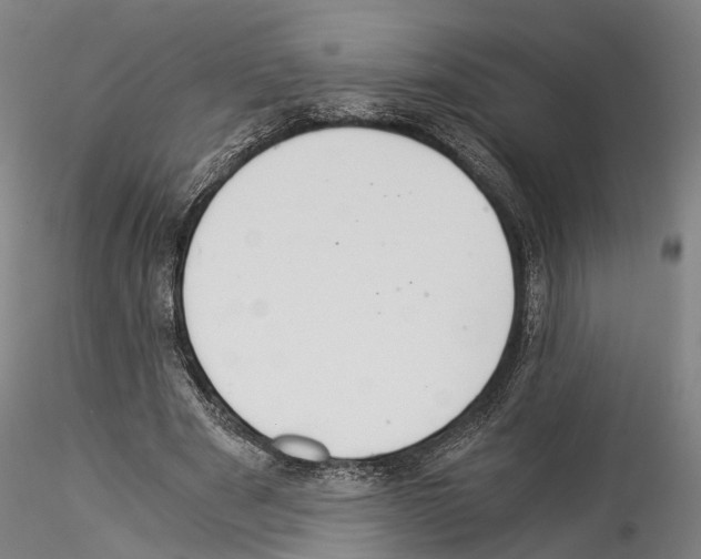 X0000114540489200911301205