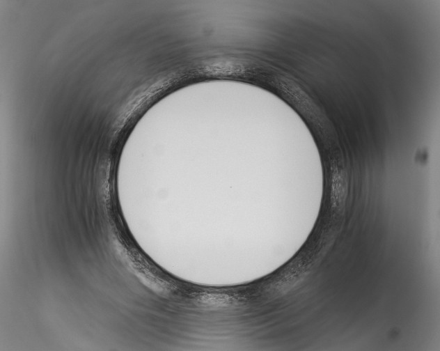 X0000114540490200911301205