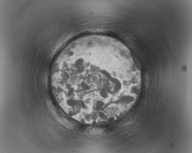 X0000114540491200911301205