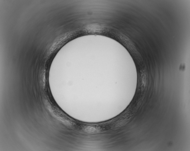 X0000114540494200911301205