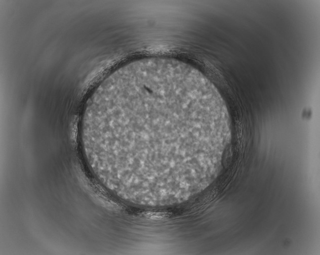 X0000114540495200911301205