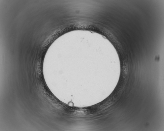 X0000114540497200911301205