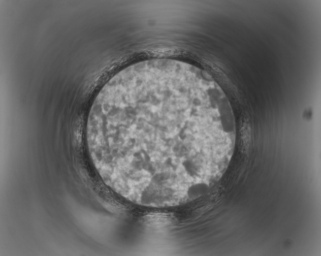 X0000114540499200911301205