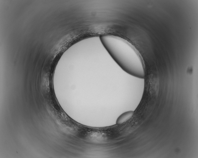 X0000114540500200911301205