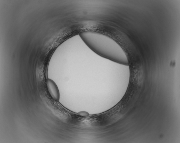 X0000114540504200911301205