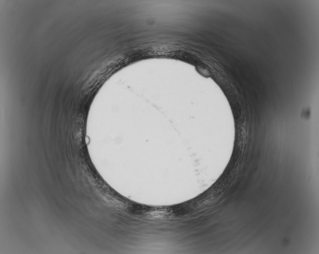 X0000114540505200911301205