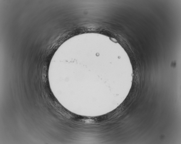 X0000114540509200911301205