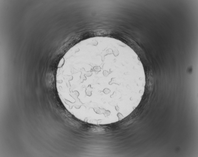 X0000114540523200911301204