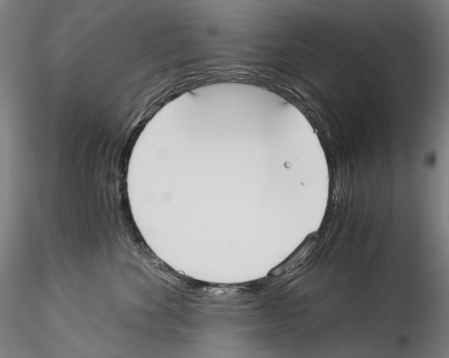 X0000114540524200911301204