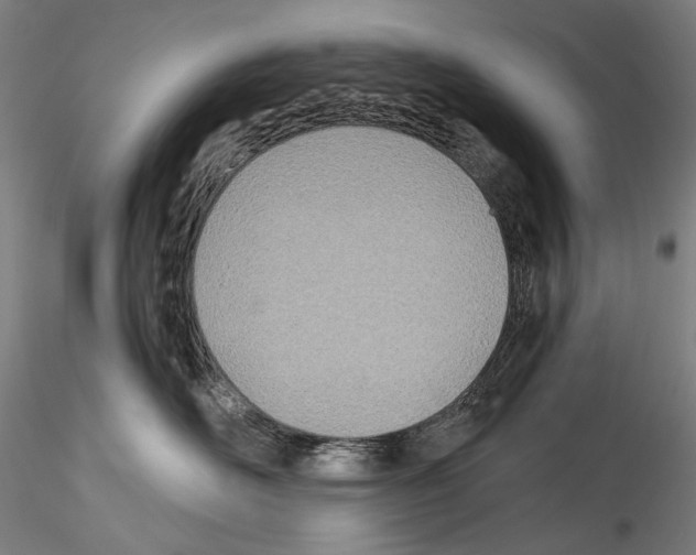 X0000114540526200911301204