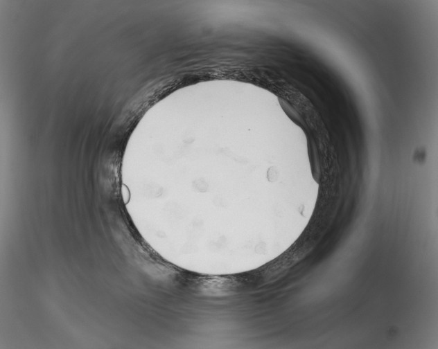 X0000114540527200911301204