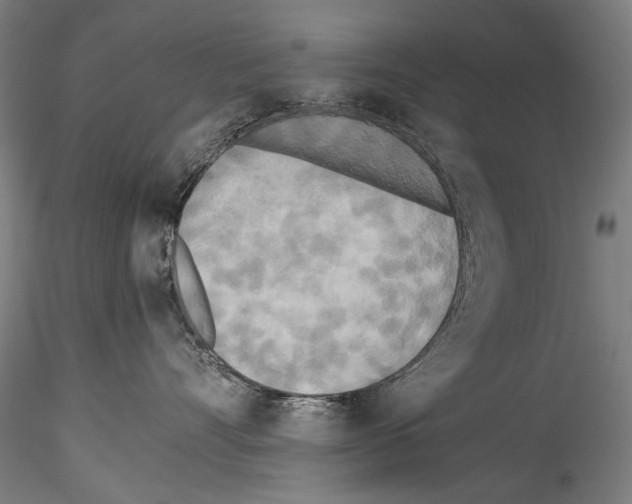 X0000114540528200911301204