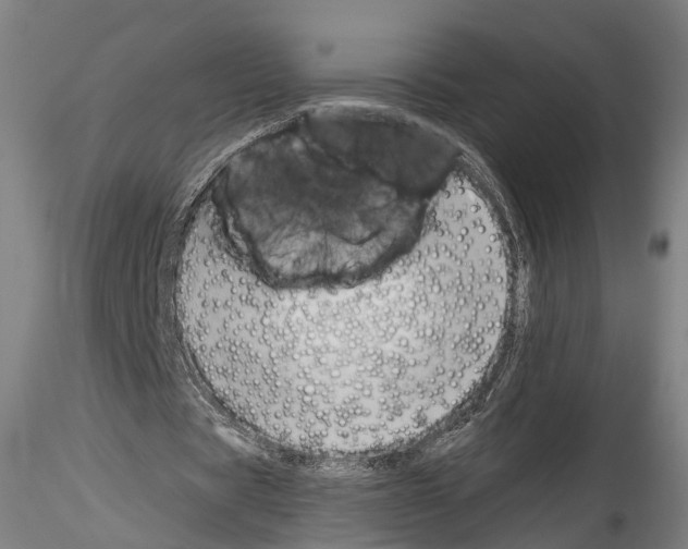 X0000114540529200911301204