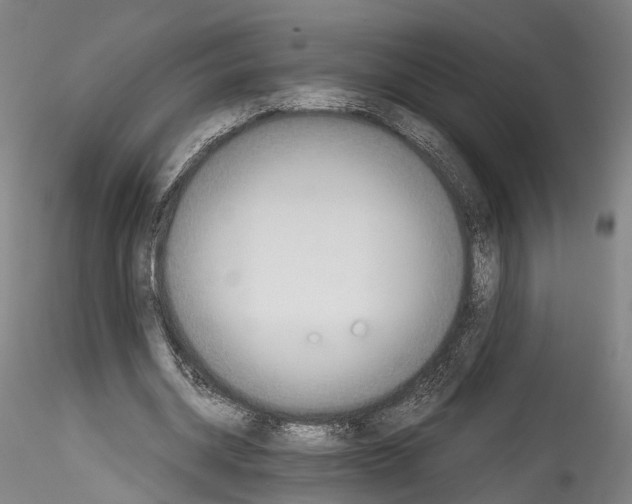 X0000114540534200911301204