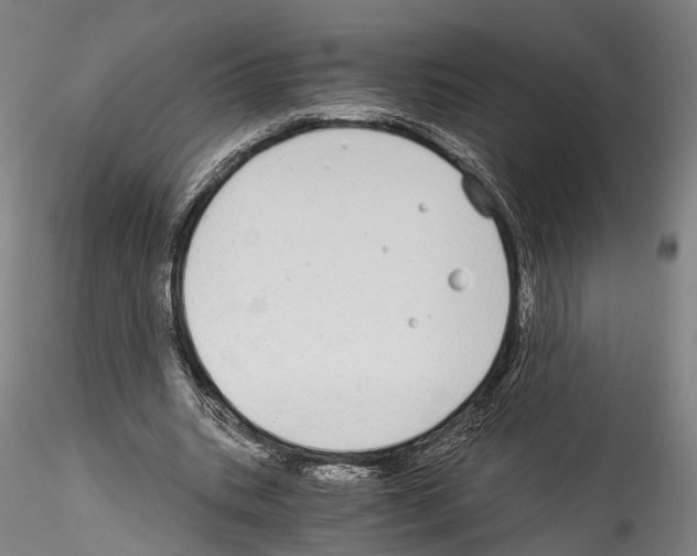 X0000114540535200911301204