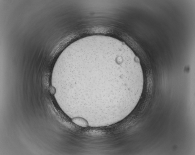 X0000114540537200911301204