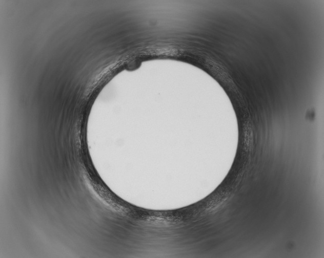 X0000114540538200911301204