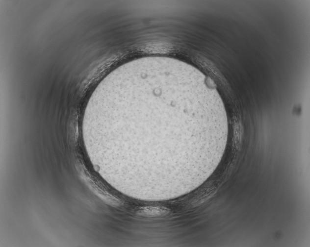 X0000114540541200911301204