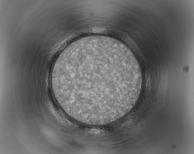 X0000114540542200911301204