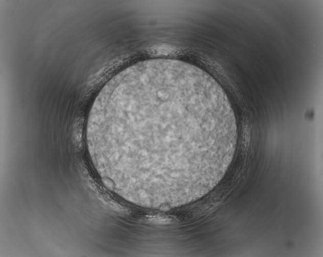 X0000114540545200911301204