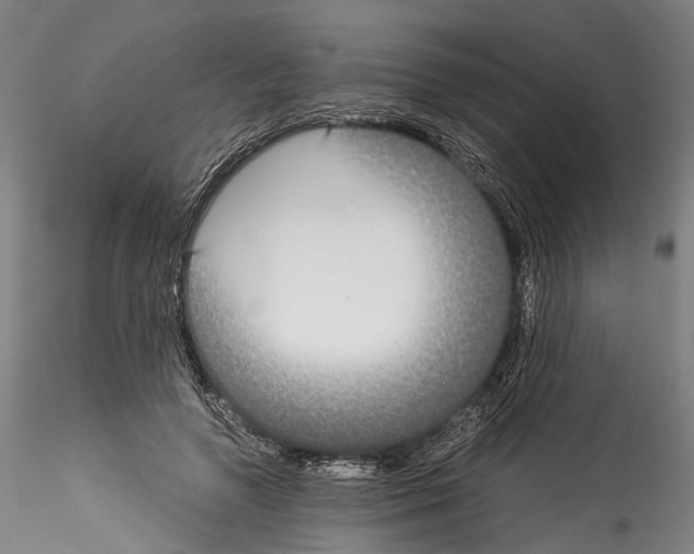 X0000114540546200911301204