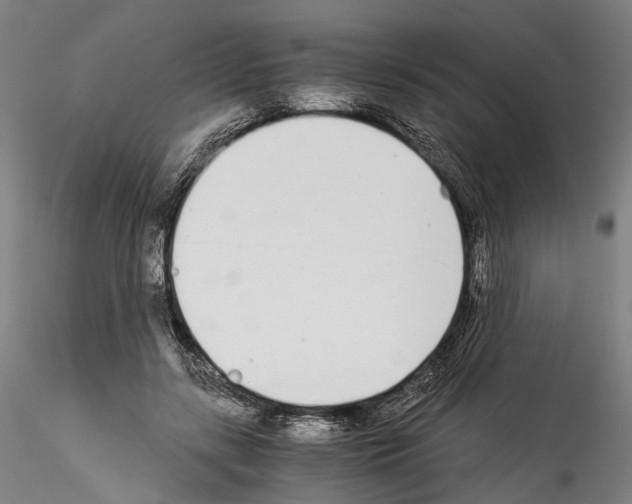 X0000114540547200911301204