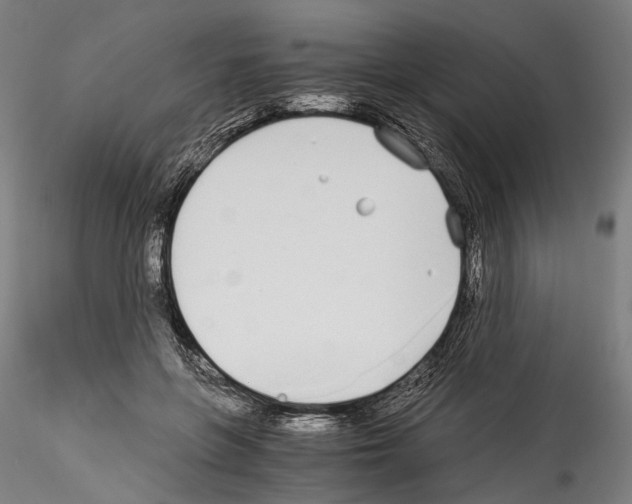 X0000114540551200911301204