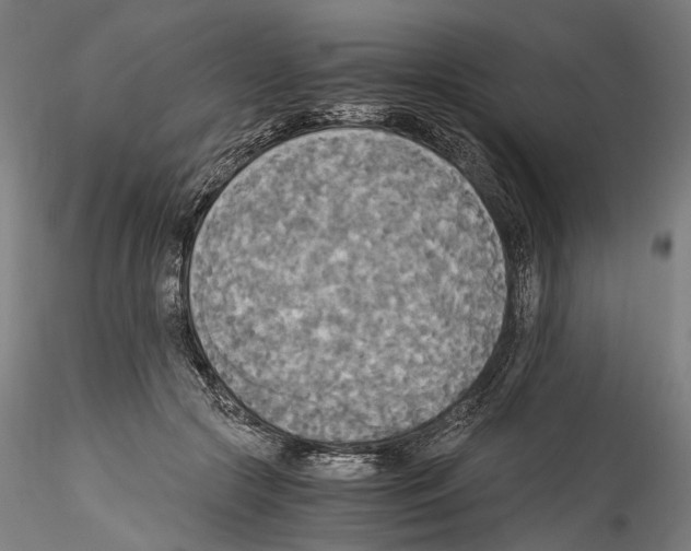 X0000114540553200911301204