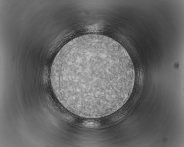 X0000114540557200911301204