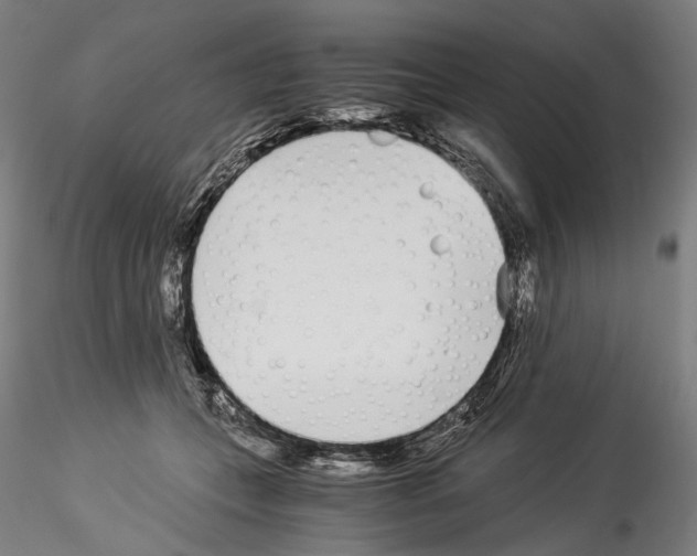 X0000114540559200911301204