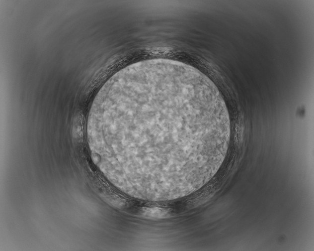 X0000114540561200911301204