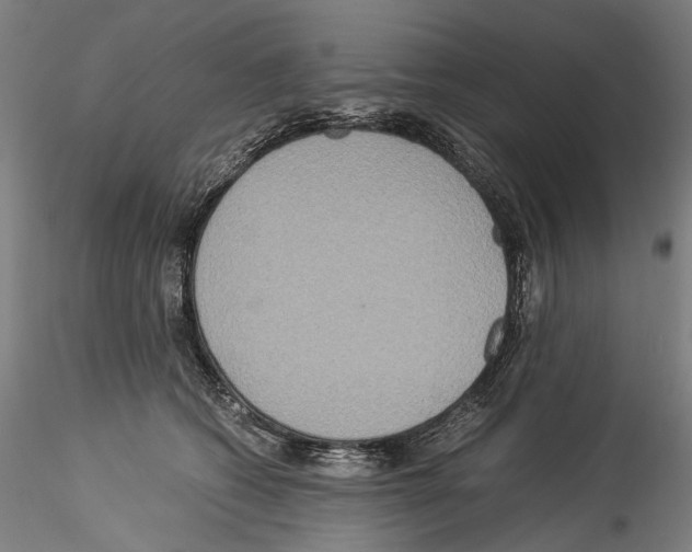 X0000114540562200911301204