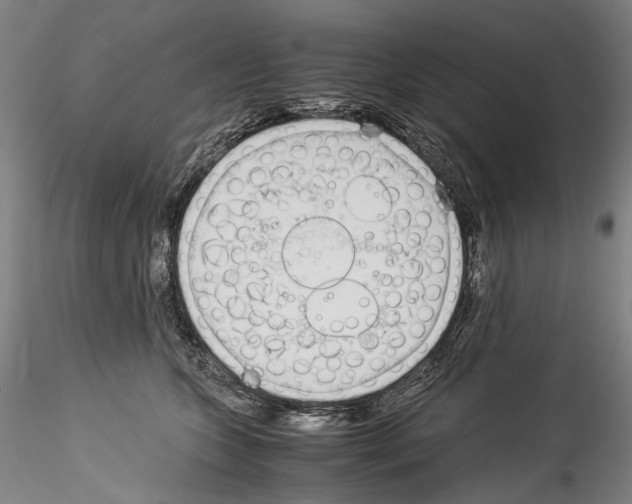 X0000114540563200911301204