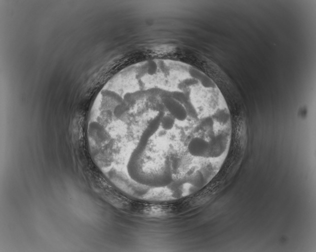 X0000114540565200911301204