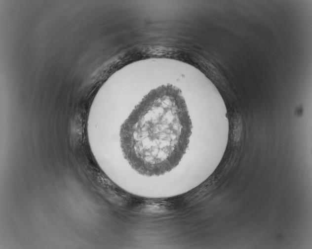 X0000114540569200911301204