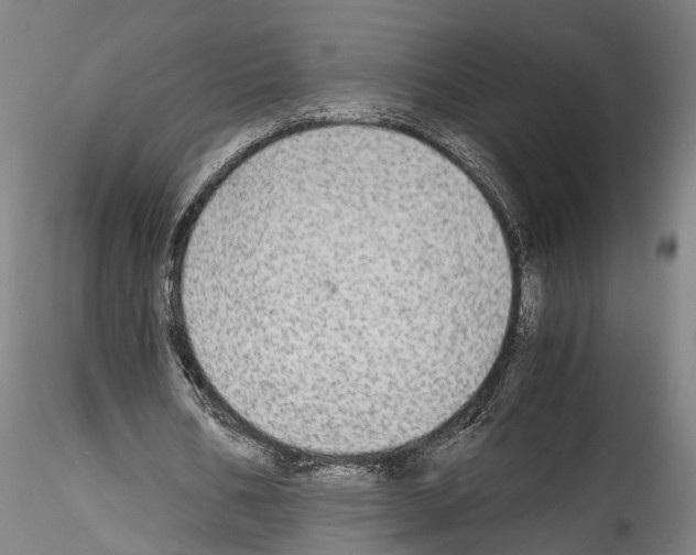 X0000114540578200911301204