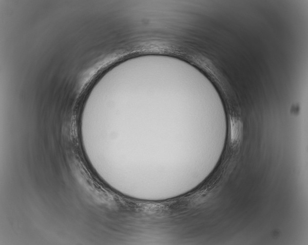 X0000114540579200911301204