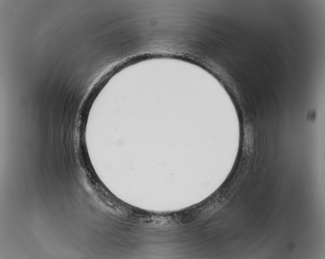 X0000114540580200911301204