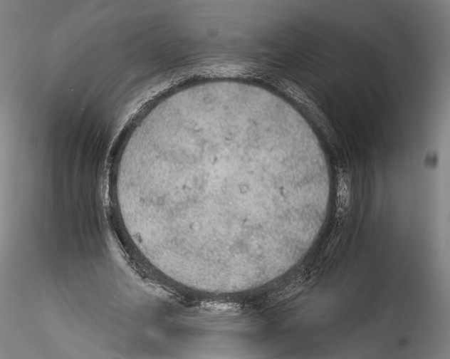 X0000114540582200911301204