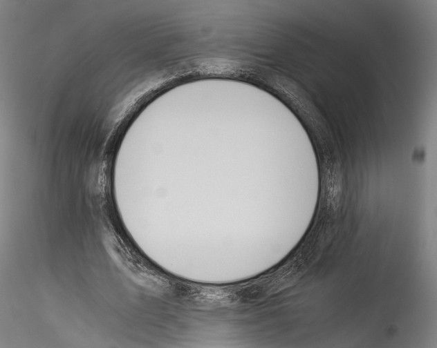 X0000114540583200911301204