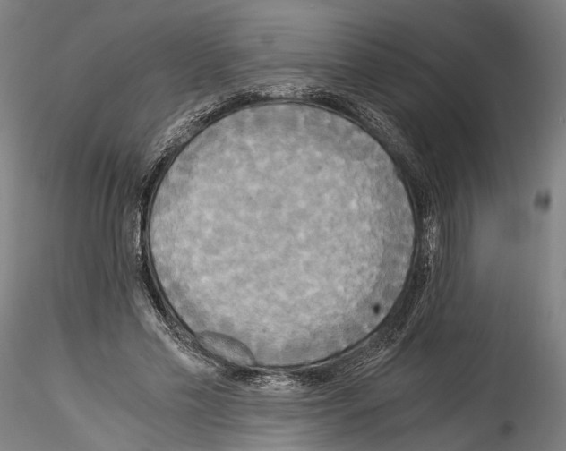 X0000114540589200911301203